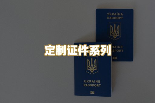 定制证件系列